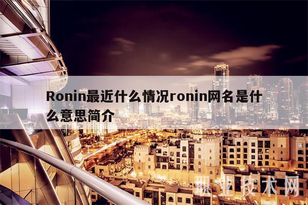 Ronin最近什么情况ronin网名是什么意思简介