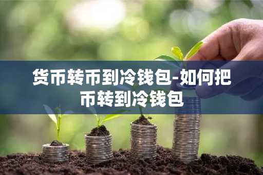 货币转币到冷钱包-如何把币转到冷钱包