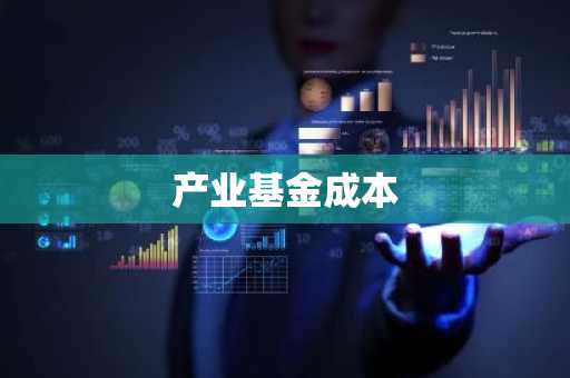 产业基金成本
