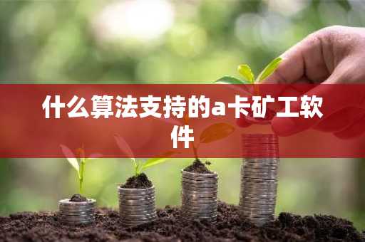什么算法支持的a卡矿工软件