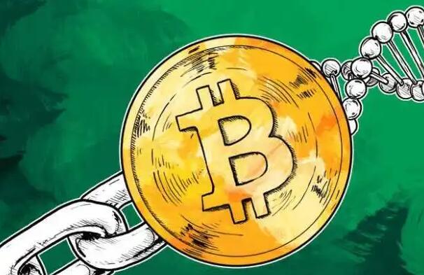 维卡币官网手机版 维卡币交易所app官网下载最新版本