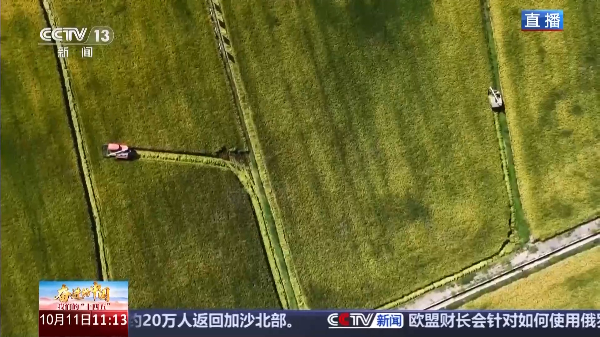 如何让每一粒粮都“颗粒归仓”？记者探访“大国粮仓”第一线