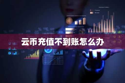 云币充值不到账怎么办