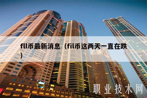 fll币最新消息（fil币这两天一直在跌）