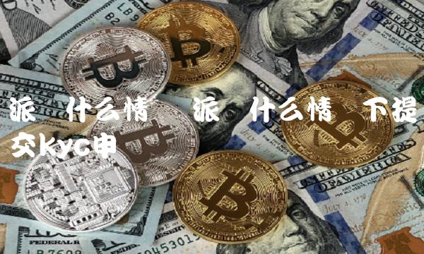 派币什么情况下提交kyc申请