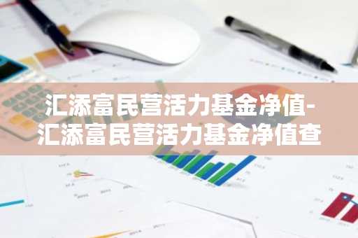 汇添富民营活力基金净值-汇添富民营活力基金净值查询