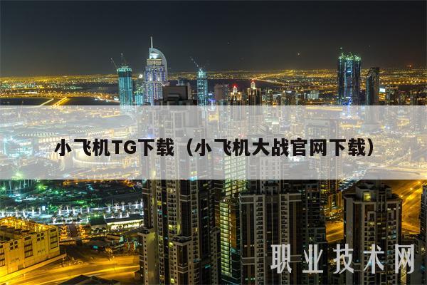小飞机TG下载（小飞机大战官网下载