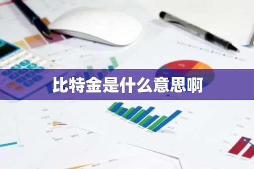 比特金是什么意思啊