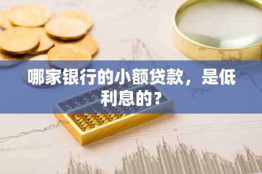 哪家银行的小额贷款，是低利息的？