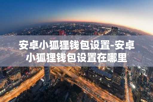 安卓小狐狸钱包设置-安卓小狐狸钱包设置在哪里
