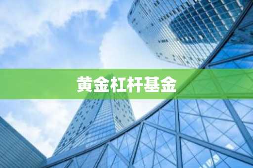 黄金杠杆基金