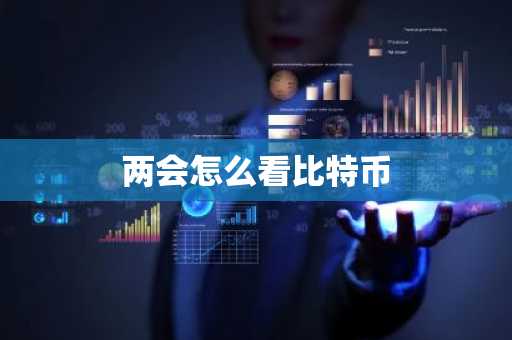 两会怎么看比特币