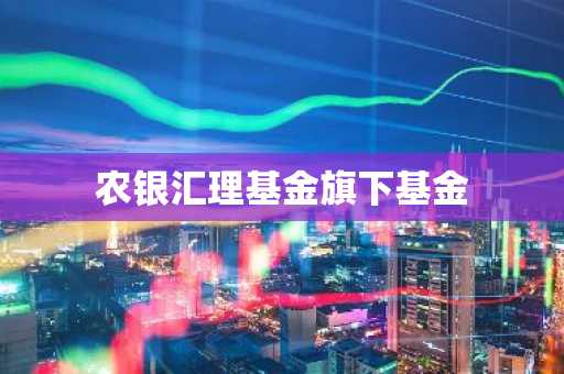 农银汇理基金旗下基金