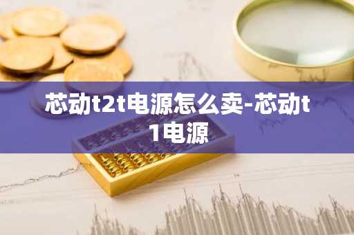 芯动t2t电源怎么卖-芯动t1电源