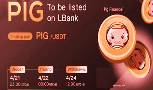 pig币交易所最新版安卓 pig币安卓版官网