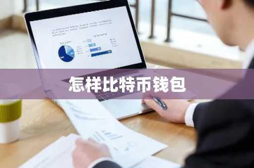 怎样比特币钱包