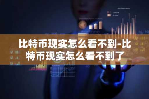 比特币现实怎么看不到-比特币现实怎么看不到了