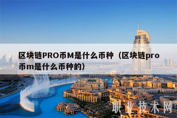 区块链PRO币M是什么币种（区块链pro币m是什么币种的）