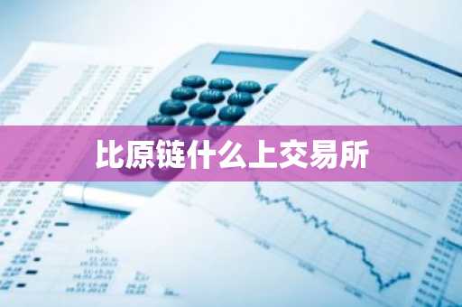比原链什么上交易所