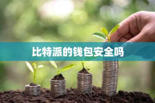 比特派的钱包安全吗