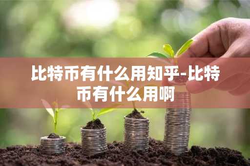 比特币有什么用知乎-比特币有什么用啊