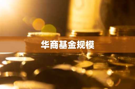 华商基金规模