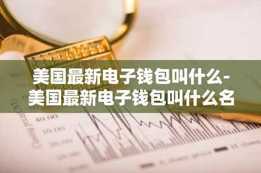 美国最新电子钱包叫什么-美国最新电子钱包叫什么名字