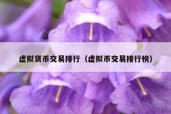 虚拟货币交易排行_虚拟币交易排行榜