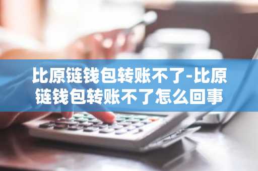 比原链钱包转账不了-比原链钱包转账不了怎么回事