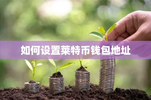 如何设置莱特币钱包地址