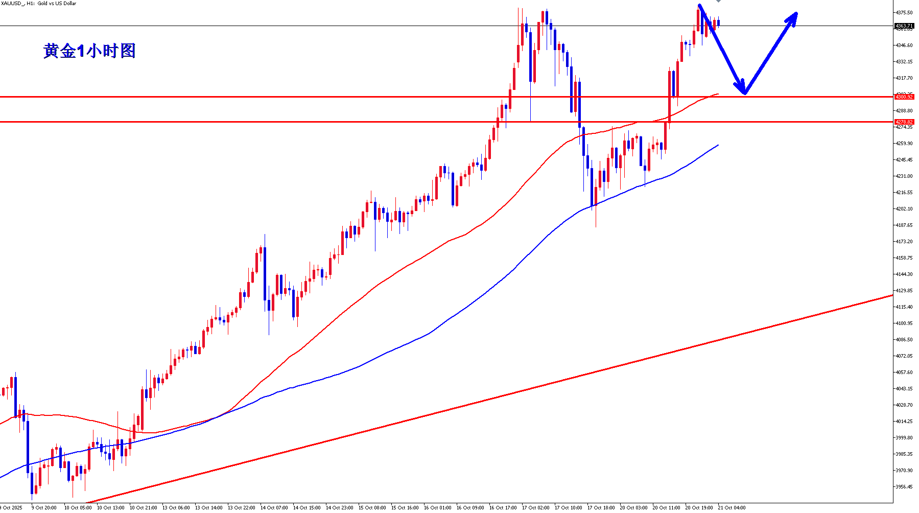 王杨：黄金多头继续创新高，早盘回落继续多！