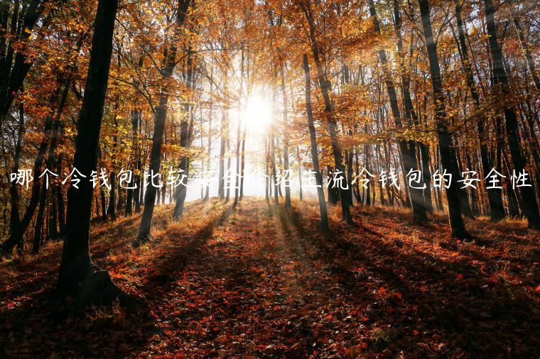 哪个冷钱包比较安全介绍主流冷钱包的安全性