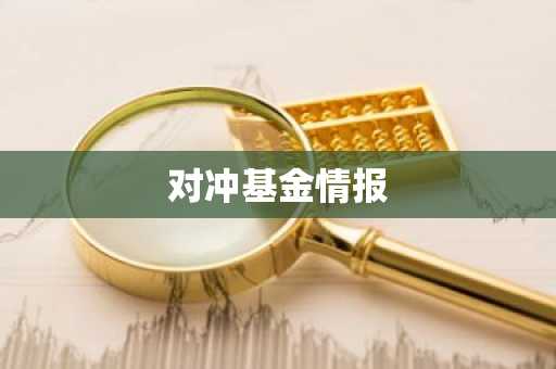 对冲基金情报