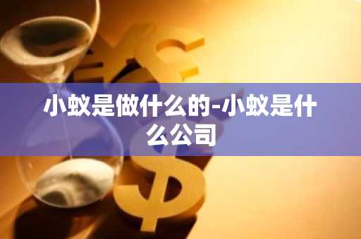 小蚁是做什么的-小蚁是什么公司