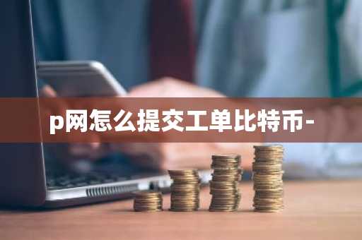 p网怎么提交工单比特币-