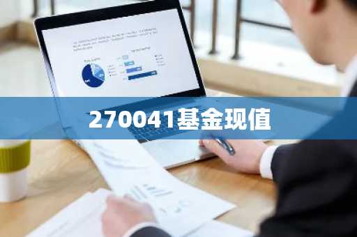 270041基金现值