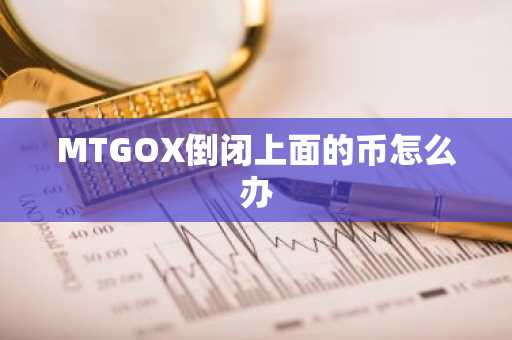 MTGOX倒闭上面的币怎么办