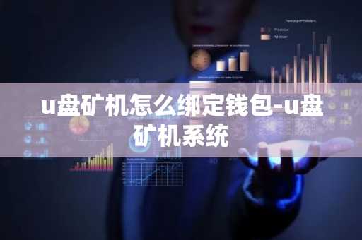 u盘矿机怎么绑定钱包-u盘矿机系统