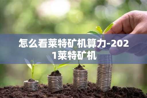 怎么看莱特矿机算力-2021莱特矿机