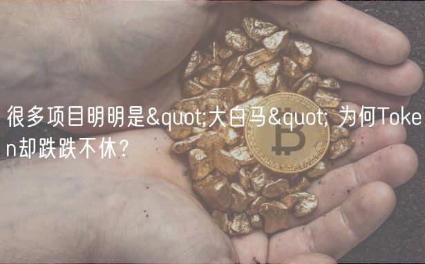 很多项目明明是&quot;大白马&quot; 为何Tokn却跌跌不休？