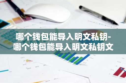 哪个钱包能导入明文私钥-哪个钱包能导入明文私钥文件