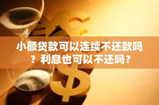 小额贷款可以连续不还款吗？利息也可以不还吗？