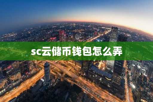 sc云储币钱包怎么弄