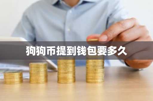 狗狗币提到钱包要多久