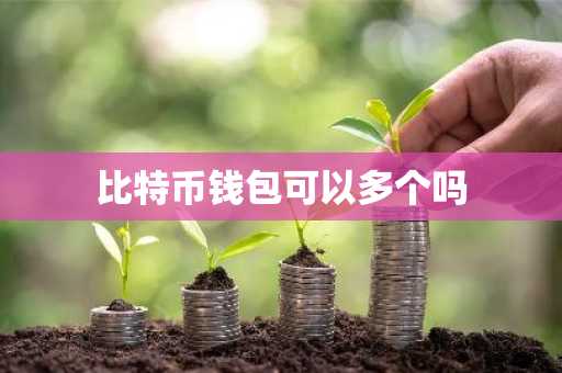 比特币钱包可以多个吗