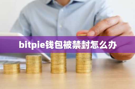 bitpie钱包被禁封怎么办