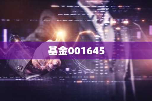 基金001645