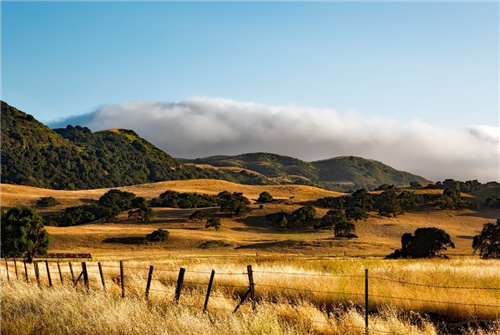 蔡文胜相关地址昨日以来已将3800枚TH转入BIAN