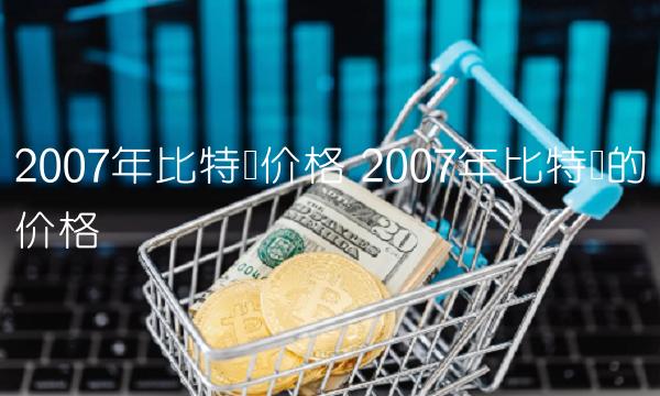 2007年比特币的价格