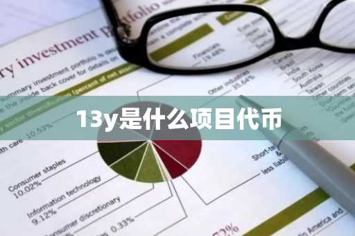 13y是什么项目代币